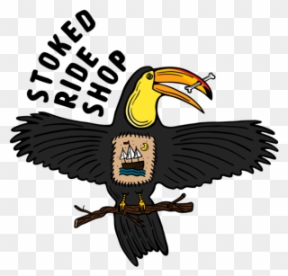 Hornbill Clipart