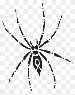 Arachnid Spider, Body, Eight, Art, Legs, Arachnid - Spider Top View Clipart