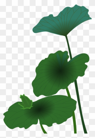 Lotus Logo Green Png Clipart