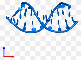 Pdb Entry 123d Contains 2 Copies Of Dna P*tp*gp*g) Clipart