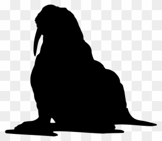 Download Png - Walrus Silhouette Clipart