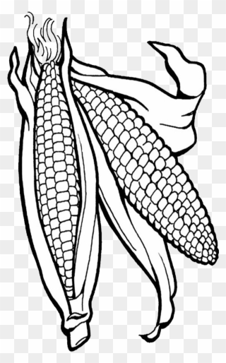 Corn Clipart Png Corn Clipart - Corn Coloring Page Transparent Png