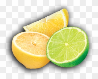 Lemon Png Lime - Transparent Lime Lemon Png Clipart