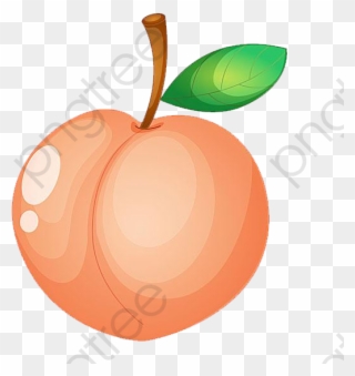 Peach Clipart Fruit - Png Download