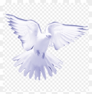 Free Png White Birds On Heaven Png Image With Transparent - Transparent White Dove Holy Spirit Png Clipart