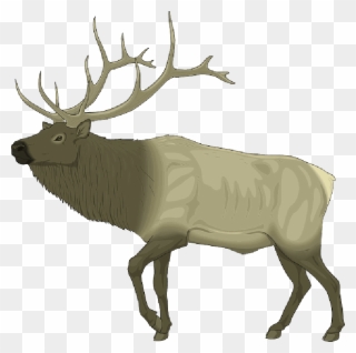 Elk Clip Art Free , Png Download - Elk Clip Art Transparent Png