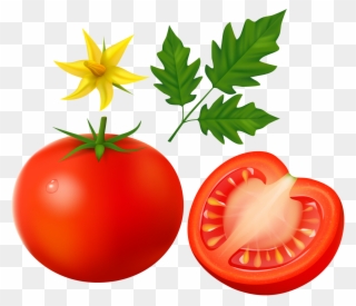 Creating Realistic Tomatoes - Tomato Leaves Vector Png Clipart