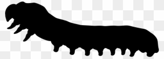 Png File - Worm Clipart