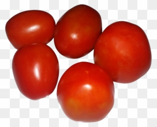 Tomato Clipart Ripe - Plum Tomato - Png Download