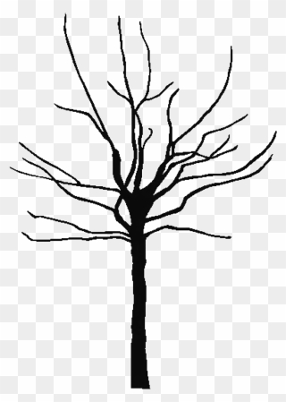 Coloring Page Of A Oak Tree Png - Tree Trunk Silhouette Png Clipart