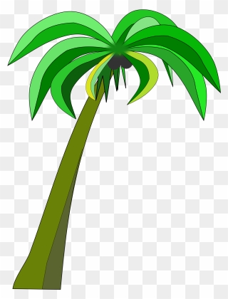 Palm Tree Clipart Palm Tress - Clip Art Coconut Palm - Png Download