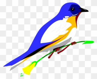 Flying Blue Jay Png Art - Parrot Transparent Background Free Clipart
