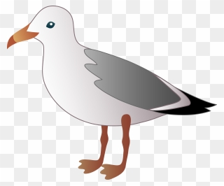 Free Seagull Cliparts, Download Free Clip Art, Free - Seagull Clipart - Png Download