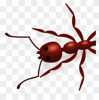 Wasp Clipart