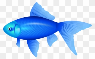 The Blue Fish Clip Art - Fish Clipart Png Transparent Png