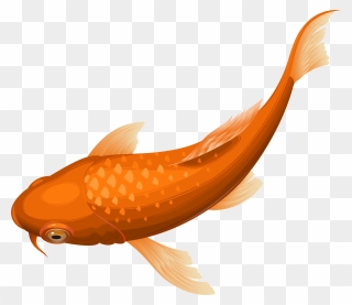 Orange Koi Fish Transparent Clip Art Png Image