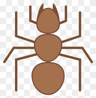 Transparent Ant Clip Art - Icon - Png Download