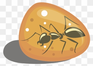 Ant In Amber-1576590613 - Amber Clipart - Png Download