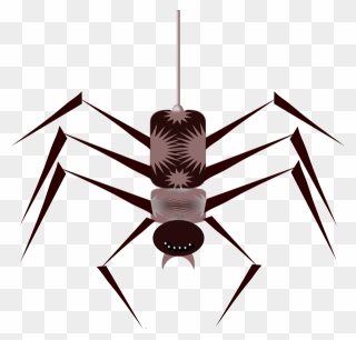 Bug Spider Png Transparent Clipart