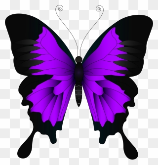 Purple Butterfly Png Clip Art Image - Pink Butterfly Clip Art Transparent Png
