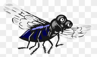 Fly,carpenter Bee,cartoon - Fly Flying Clipart - Png Download