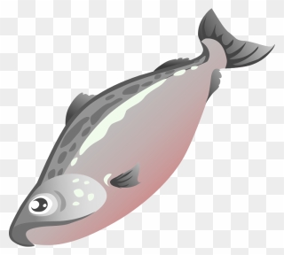 Fish Clipart Salmon - Salmon Clipart Png Transparent Png