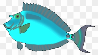 Colorful Blue Green Fish - Clip Art - Png Download