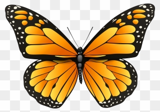 Orange Butterfly Png Clip Art - Clipart Butterfly Png Transparent Png