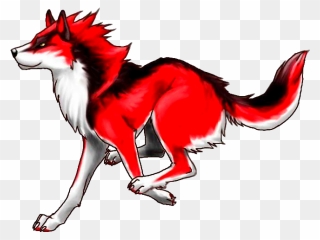 Gray Wolf Red Wolf Drawing Clip Art Pupp - Black White And Red Wolf - Png Download