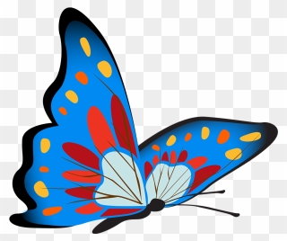 Vibrant Blue Butterfly Image - Butterflies Clipart - Png Download