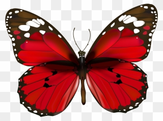Butterfly Red Clip Art - Red Butterfly Png Transparent