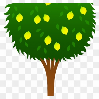 Transparent Lemon Clipart Png - Lemon Tree Drawing Easy