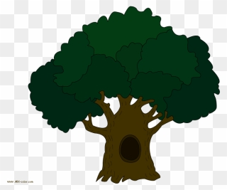 Clipart Of Oak Tree Graphic Free Stock Free Oak Tree - Png Download
