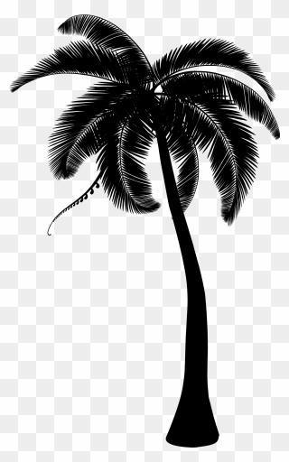 Palm Trees Coconut Clip Art Portable Network Graphics - Transparent Background Palm Tree - Png Download