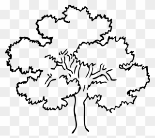 Oak Tree Png Icons - Tree Clipart Black And White Png Transparent Png