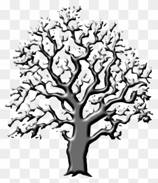 Oak Tree Png Clip Arts - Trees Black And White Transparent Png