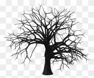 Dead Tree Clipart Dry Tree - Dry Tree Images Png Transparent Png