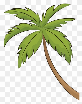 Palm Tree Clipart - Palm Tree - Png Download