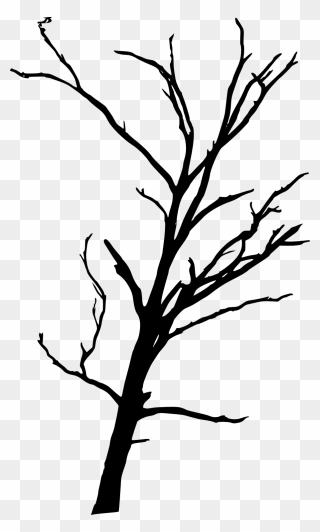 Tree Branch Woody Plant Clip Art - Simple Silhouette Dead Tree - Png Download