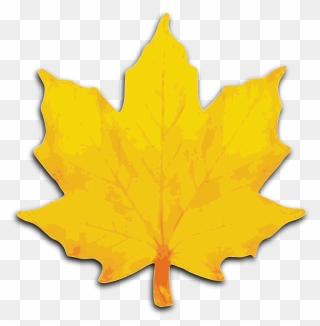 Orange Maple Leaf Clipart - Png Download