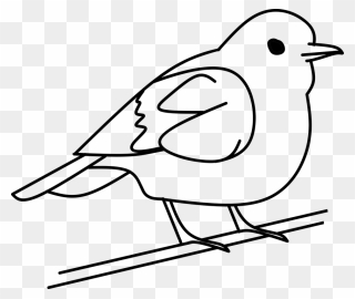 Bird Tree Out Line Free Vector Graphic On Pixabay With - Clip Art Black And White Bird - Png Download