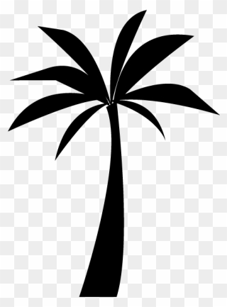 Icon Png Palm Tree Clipart
