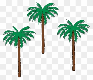 Trees Clip Art At - Pom Trees - Png Download