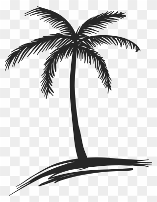 Coconut Tree Clipart Black And White Picture 28 Collection - Cute Palm Tree Drawing - Png Download
