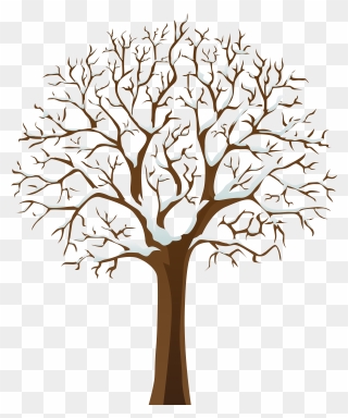 Tree In Winter Clipart - Png Download
