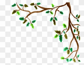 Tree Branches Leaves Painting Clipart