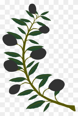 Clipart Olive Branch Black Olive - Clip Art Olive Tree Branches - Png Download