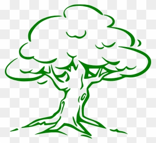 Green Oak Tree Clip Art - Cartoon Oak Tree Drawing - Png Download