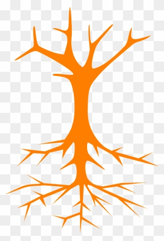 Tree Roots Stem Branches Naked Png Image - Roots Clip Art Png Transparent Png