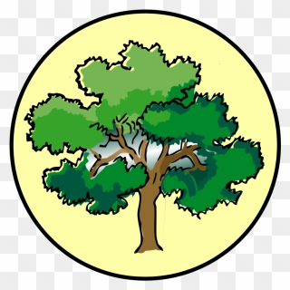 Tree Drawing With Color Clipart